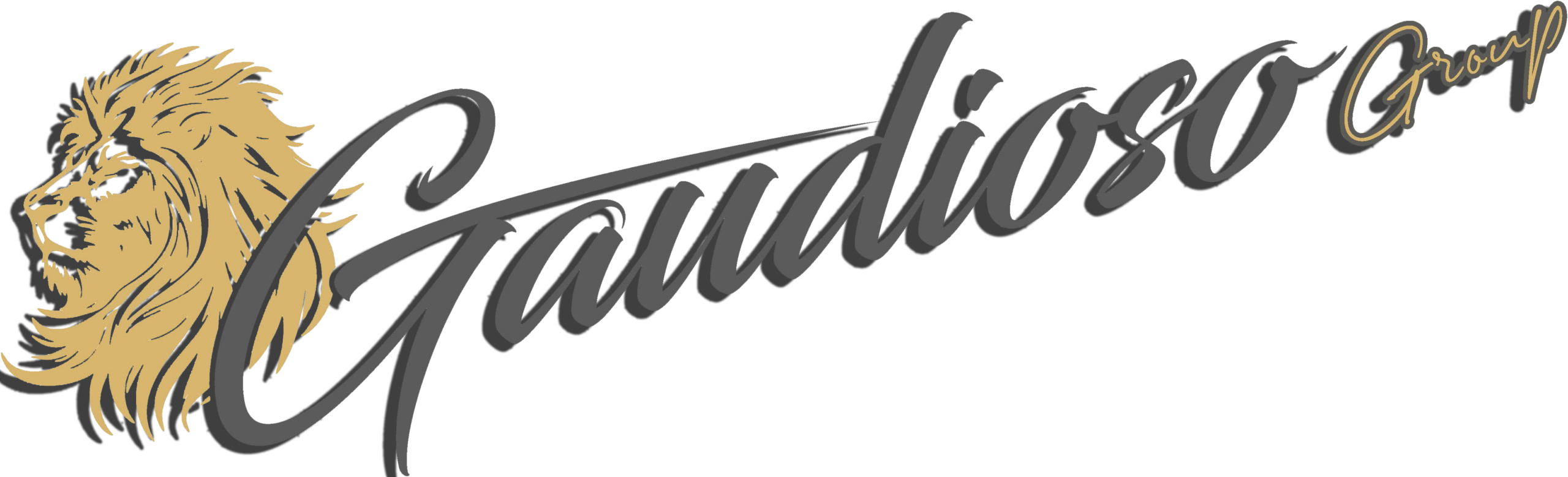 Gaudioso Group
